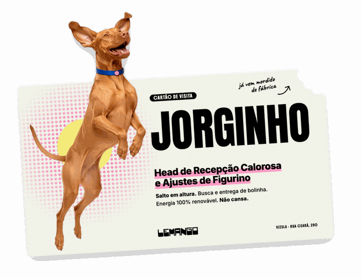 Cartão de visita do Jorginho, frente